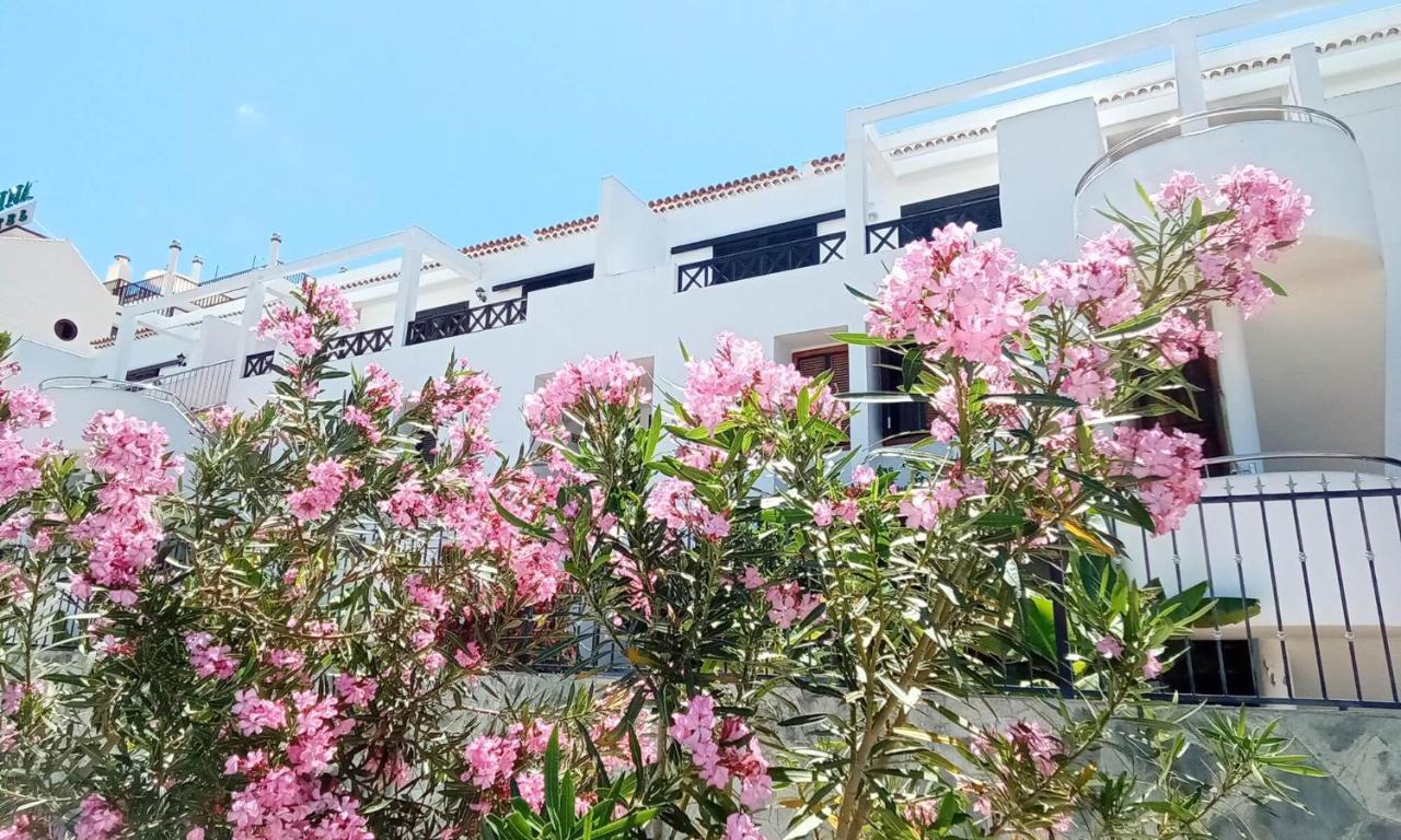 Under The Lime, Beautiful Apartment Los Cristianos Los Cristianos (Tenerife) Exterior foto